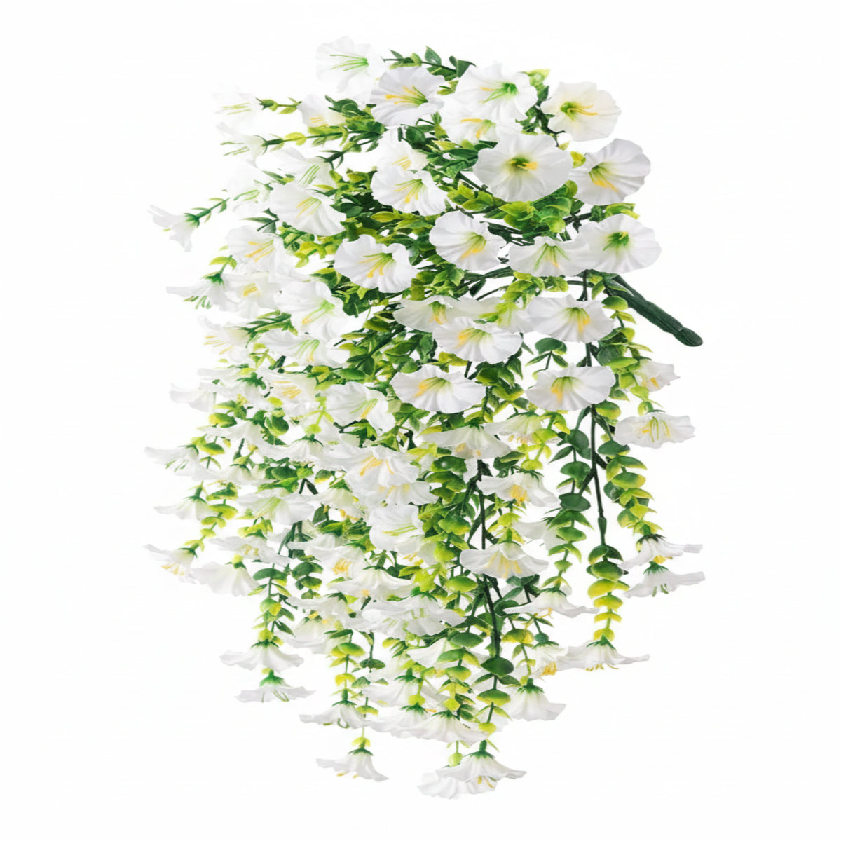 eucalyptus hanging vine white