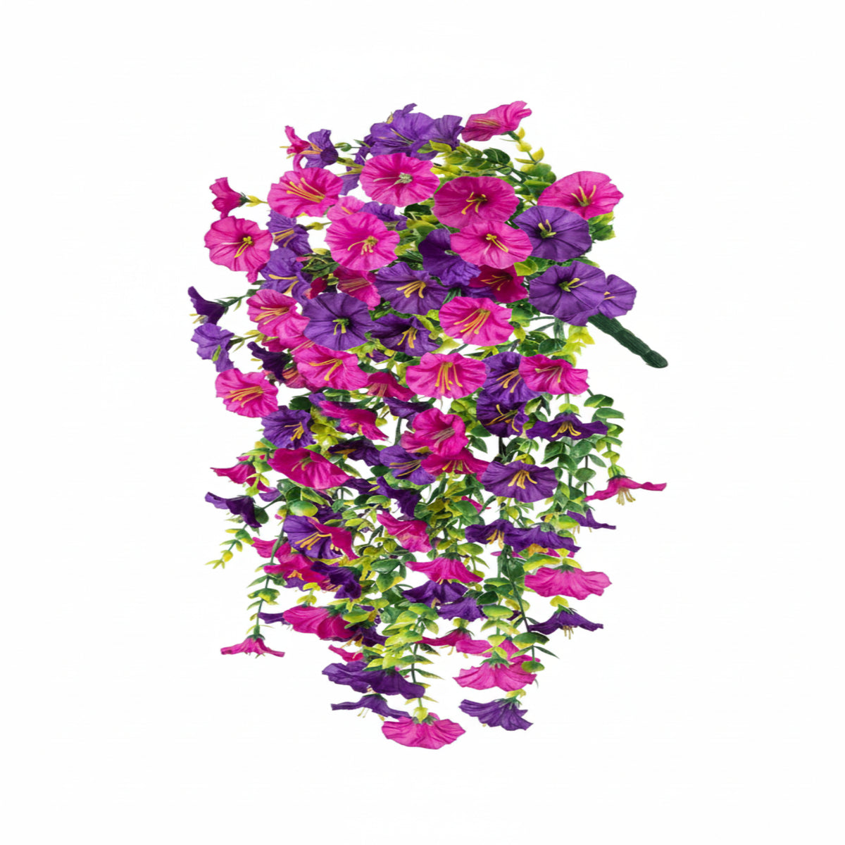 eucalyptus hanging vine lotus purple
