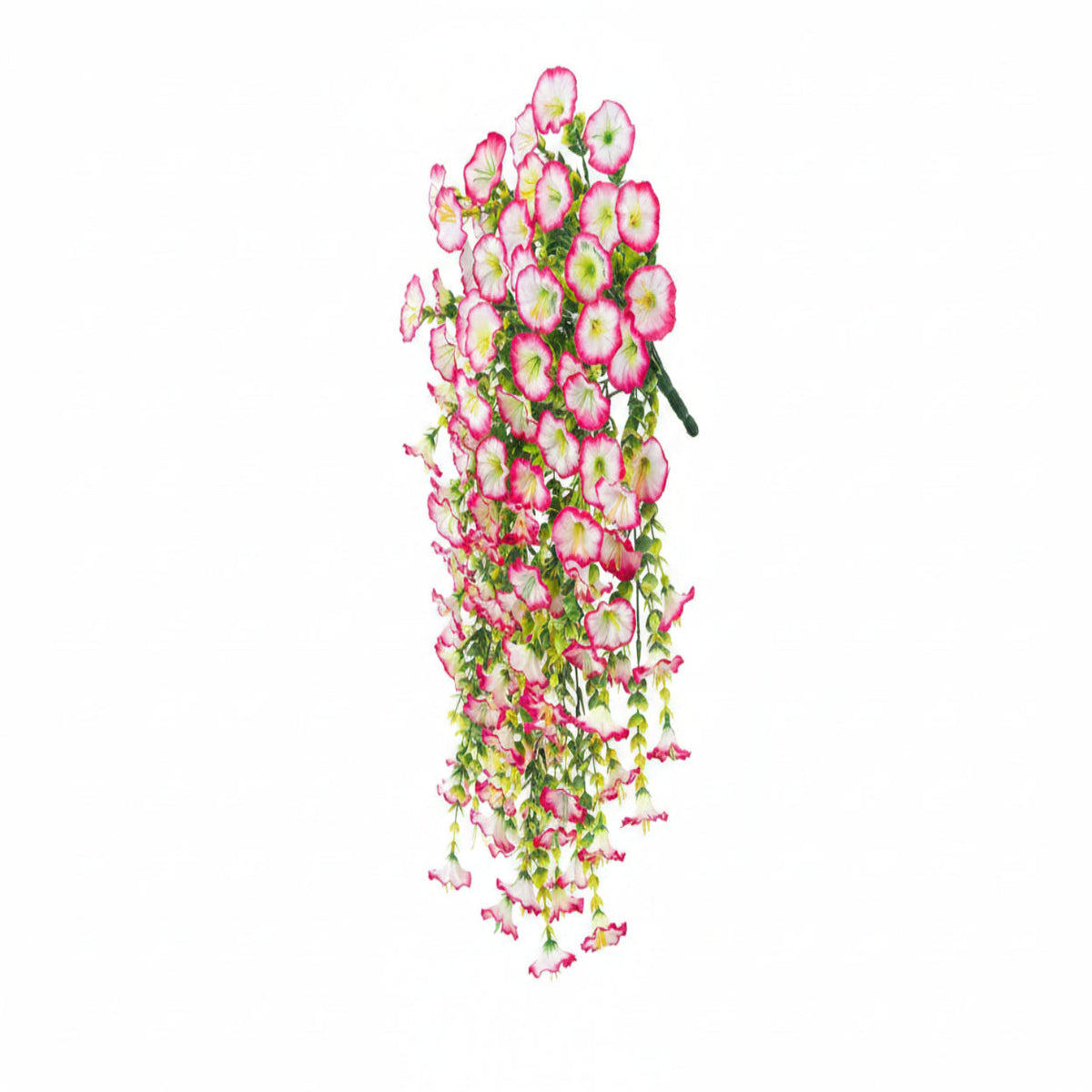 eucalyptus hanging vine pink