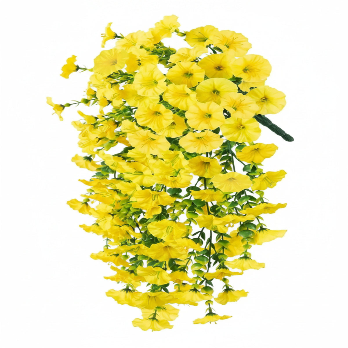 eucalyptus hanging vine yellow